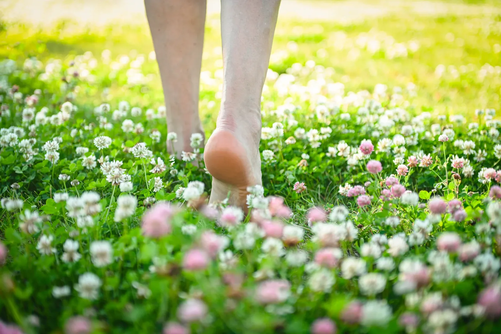 Why March Allergies and Swollen Legs Go Hand in Hand: A